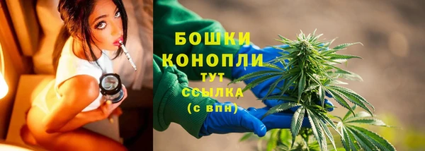 PSILOCYBIN Кулебаки