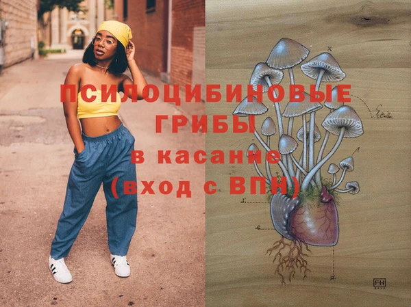 дурь Краснослободск