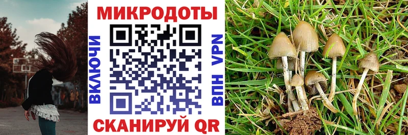 Галлюциногенные грибы мицелий  Красноуральск 